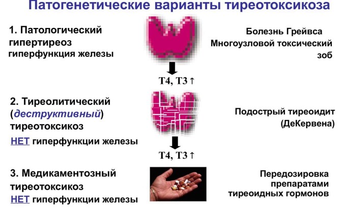 Нормальное функционирование железы может быть нарушено из-за недостатка йода в воде и еде или, наоборот, его избыток, разного рода инфекционные заражения или развитие онкологических заболеваний даже на ранних стадиях
