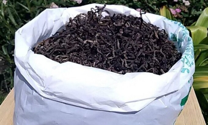 Не меньшей популярностью пользуются компрессы из папоротника и кислого молока