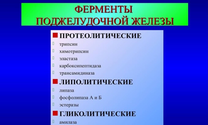Поджелудочная железа может производить более 20 разных ферментов, которые участвуют в пищеварительном процессе