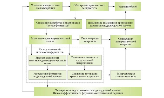 Хронический панкреатит - вид воспалительного заболевания поджелудочной железы, отличающийся своей длительностью