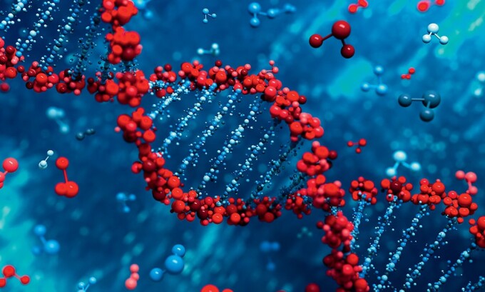 Наследственность - причина развития вросшего ногтя