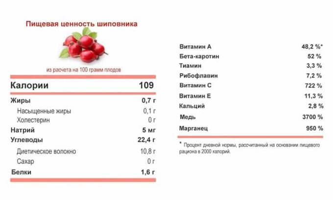 Плоды шиповника содержат большое количество полезных веществ